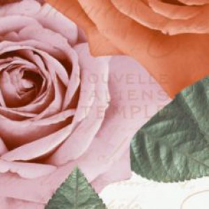 Gạch ốp tường Trường Thịnh INDIAN STONE 25751-HL-C2